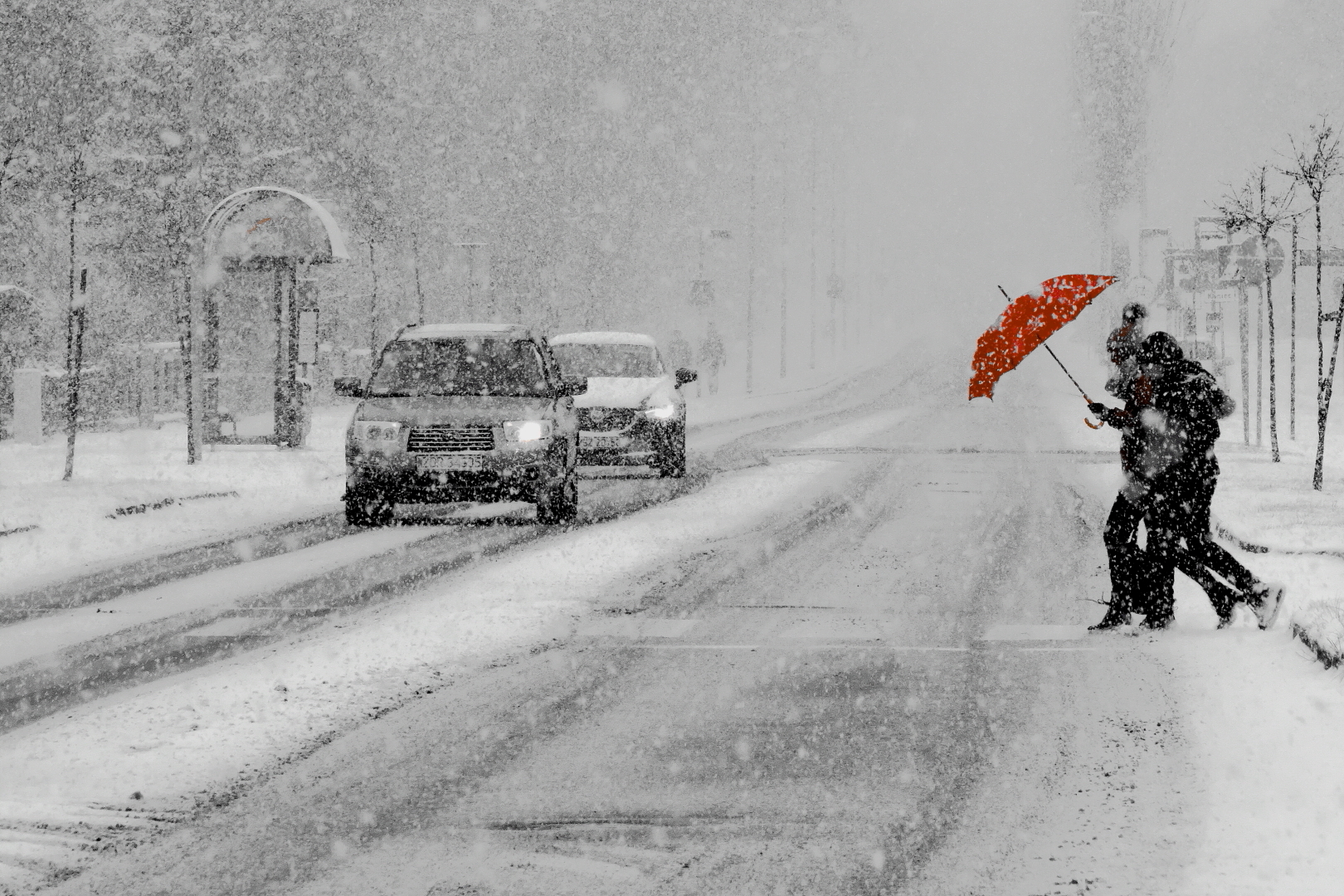 Tadeusz Mozalewski (Poland) With a red umbrella 5